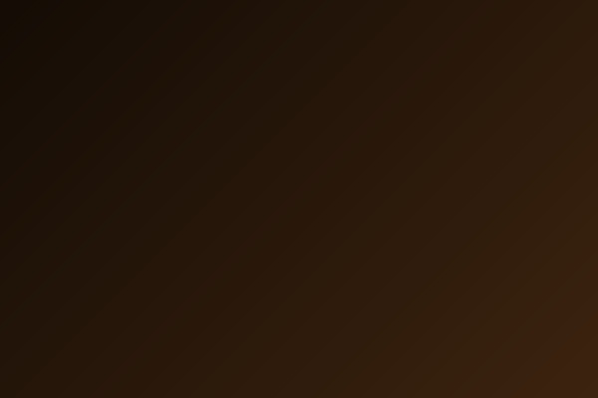 Дарья Орлова